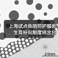上海试点免陪照护服务,生育补贴制度将出台(图2) 上海试点免陪照护服务,生育补贴制度将出台(图2)