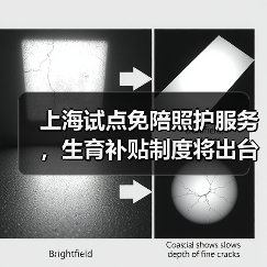 上海试点免陪照护服务,生育补贴制度将出台(图4) 上海试点免陪照护服务,生育补贴制度将出台(图4)