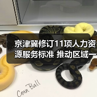 京津冀修订11项人力资源服务标准 推动区域一体化进程（图3）