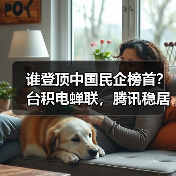 谁登顶中国民企榜首？台积电蝉联，腾讯稳居第二，华为强势重返前十（图3）