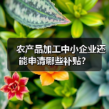 农产品加工中小企业还能申请哪些补贴?(图2) 农产品加工中小企业还能申请哪些补贴?(图2)
