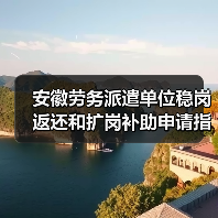 安徽劳务派遣单位稳岗返还和扩岗补助申请指南(图4) 安徽劳务派遣单位稳岗返还和扩岗补助申请指南(图4)