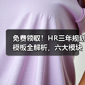 免费领取!HR三年规划模板全解析,六大模块精准管理(图2) 免费领取!HR三年规划模板全解析,六大模块精准管理(图2)