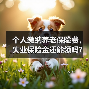 个人缴纳养老保险费，失业保险金还能领吗？（图2）