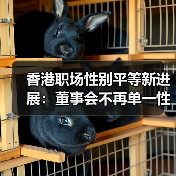 香港职场性别平等新进展:董事会不再单一性别?(图3) 香港职场性别平等新进展:董事会不再单一性别?(图3)