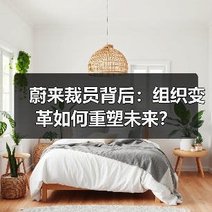 蔚来裁员背后:组织变革如何重塑未来?(图1) 蔚来裁员背后:组织变革如何重塑未来?(图1)