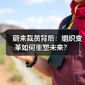 蔚来裁员背后:组织变革如何重塑未来?(图3) 蔚来裁员背后:组织变革如何重塑未来?(图3)