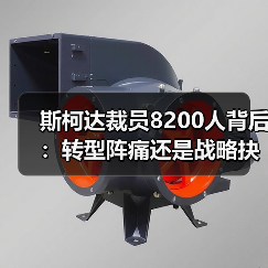斯柯达裁员8200人背后：转型阵痛还是战略抉择？（图2）