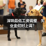 深圳最低工资调整，失业金何时上调？（图4）