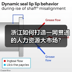 浙江如何打造一网贯通的人力资源大市场?(图2) 浙江如何打造一网贯通的人力资源大市场?(图2)