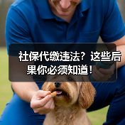 社保代缴违法?这些后果你必须知道!(图4) 社保代缴违法?这些后果你必须知道!(图4)