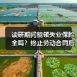 读研期间能领失业保险金吗？终止劳动合同后如何处理（图4）