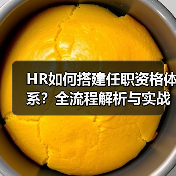 HR如何搭建任职资格体系?全流程解析与实战指南(图3) HR如何搭建任职资格体系?全流程解析与实战指南(图3)