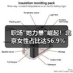 职场 职场