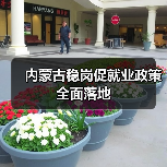 内蒙古稳岗促就业政策全面落地(图1) 内蒙古稳岗促就业政策全面落地(图1)