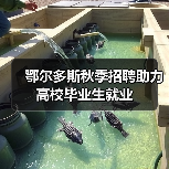 鄂尔多斯秋季招聘助力高校毕业生就业(图1) 鄂尔多斯秋季招聘助力高校毕业生就业(图1)