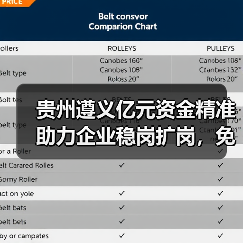 贵州遵义亿元资金精准助力企业稳岗扩岗,免申即享减负显成效(图2) 贵州遵义亿元资金精准助力企业稳岗扩岗,免申即享减负显成效(图2)