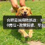 合肥云端招聘新政:300岗位+政策解读,毕业生如何把握?(图3) 合肥云端招聘新政:300岗位+政策解读,毕业生如何把握?(图3)