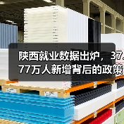 陕西就业数据出炉,37.77万人新增背后的政策揭秘(图4) 陕西就业数据出炉,37.77万人新增背后的政策揭秘(图4)