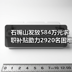 石嘴山发放584万元求职补贴助力2920名困难毕业生(图3) 石嘴山发放584万元求职补贴助力2920名困难毕业生(图3)