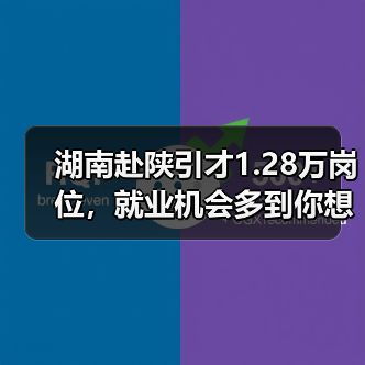 湖南赴陕引才1.28万岗位，就业机会多到你想不到（图1）