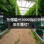 为何福州3000岗位空降华东高校?(图1) 为何福州3000岗位空降华东高校?(图1)