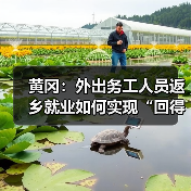 黄冈:外出务工人员返乡就业如何实现“回得来、留得住”?(图3) 黄冈:外出务工人员返乡就业如何实现“回得来、留得住”?(图3)
