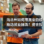 海北州如何用真金白银推动就业提质？资金投入全解析（图3）