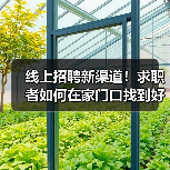 线上招聘新渠道!求职者如何在家门口找到好工作?(图1) 线上招聘新渠道!求职者如何在家门口找到好工作?(图1)