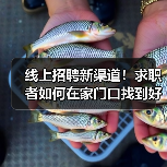 线上招聘新渠道!求职者如何在家门口找到好工作?(图4) 线上招聘新渠道!求职者如何在家门口找到好工作?(图4)