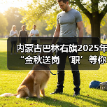 内蒙古巴林右旗2025年“金秋送岗 ‘职